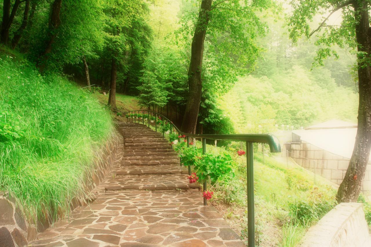 Hotel Nemira Slănic-Moldova Exteriér fotografie