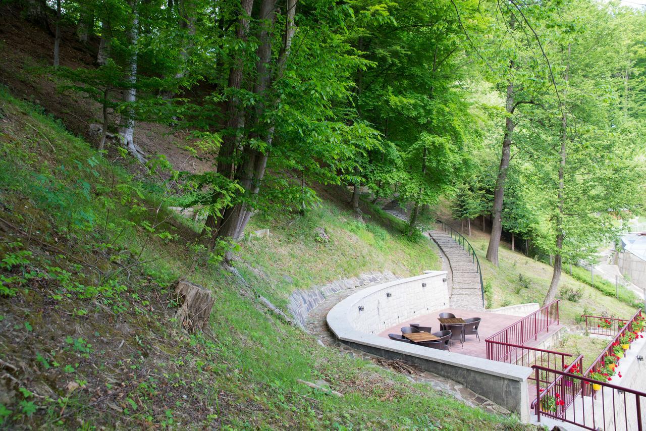 Hotel Nemira Slănic-Moldova Exteriér fotografie