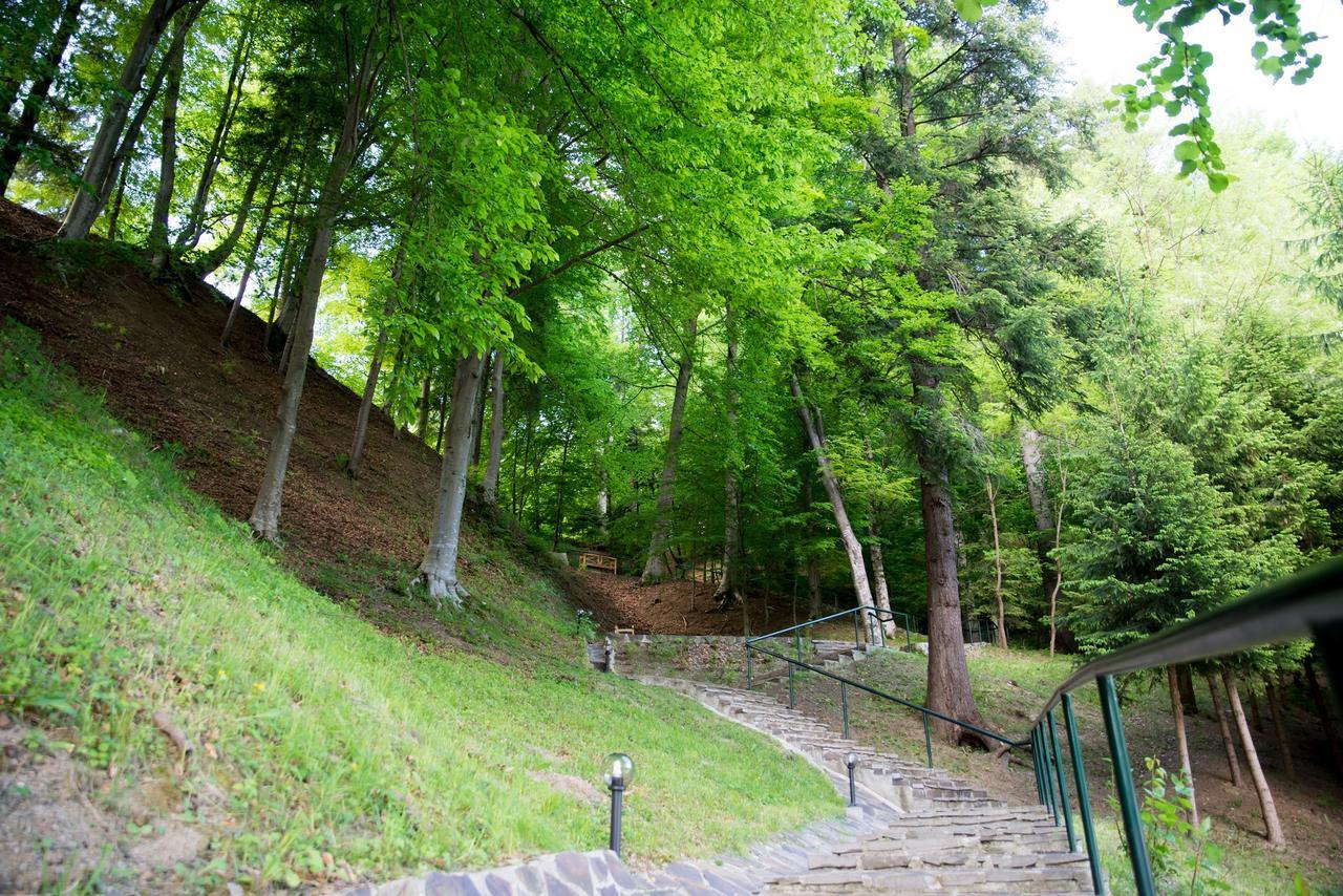 Hotel Nemira Slănic-Moldova Exteriér fotografie