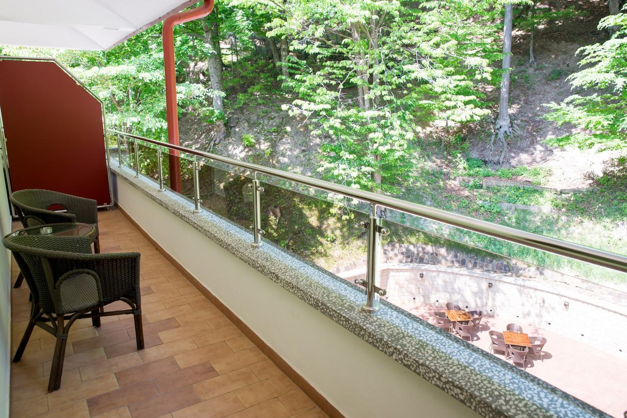 Hotel Nemira Slănic-Moldova Exteriér fotografie